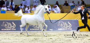 Photography & Video Production