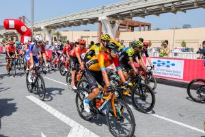 Photography & Video Production