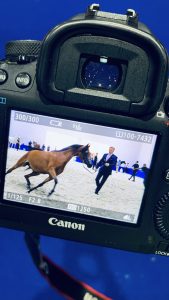 Photography & Video Production