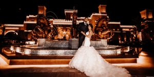 Photography & Video Production