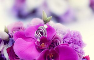 Photography & Video Production