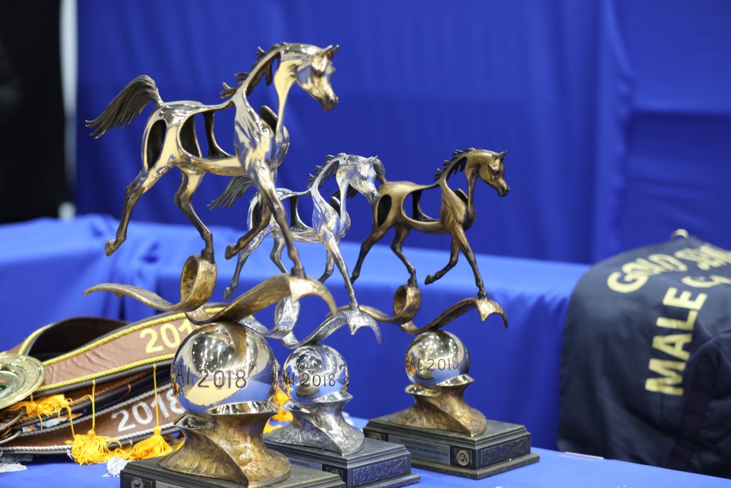 Photography & Video Production