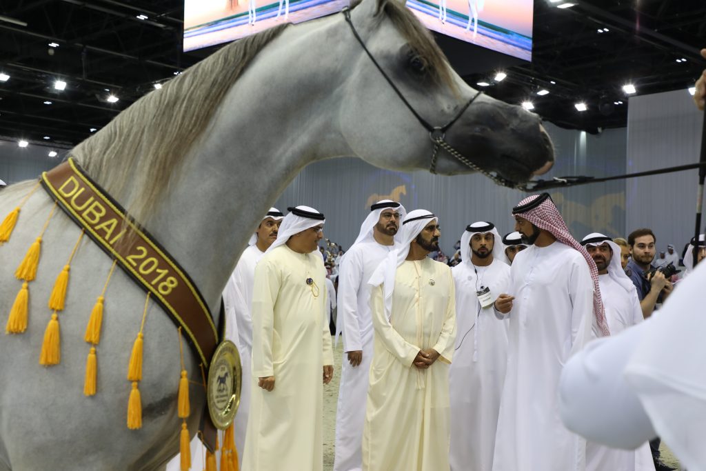 Photography & Video Production