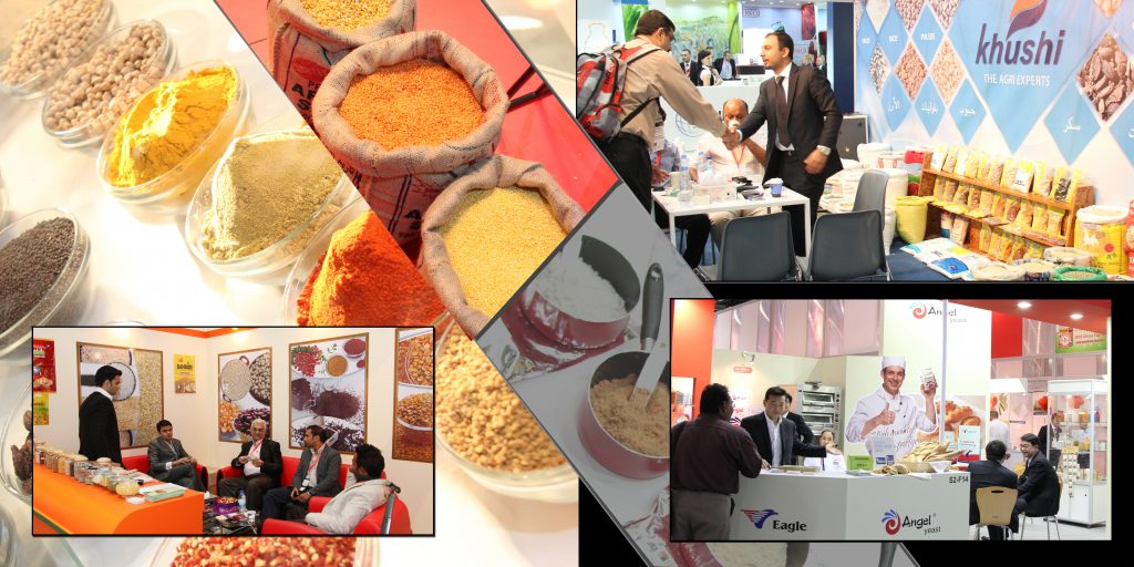 Photography & Video Production